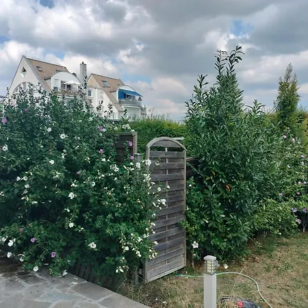 Freygang & Partner Gbr - Mietangebote Info - Trebur