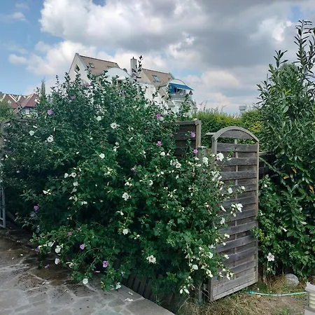 Freygang & Partner Gbr - Mietangebote Info -