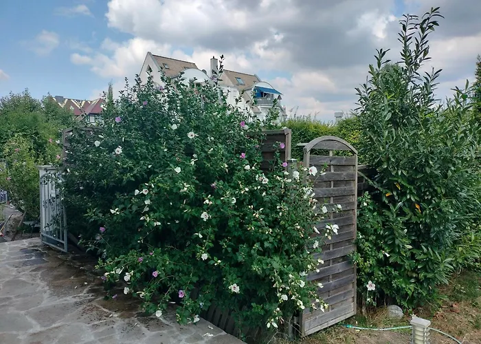 Freygang & Partner Gbr - Mietangebote Info -